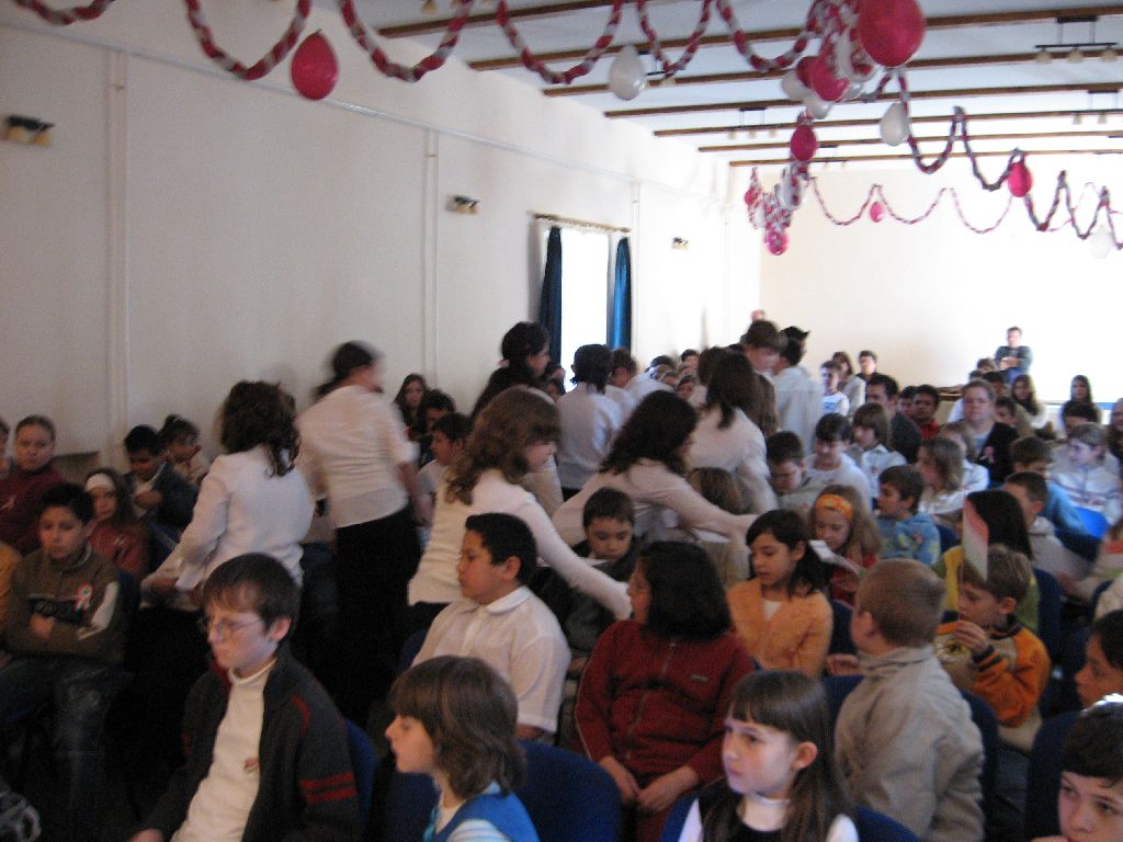Kutyus 006